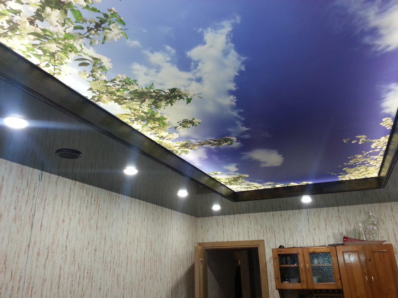 stretch 3D ceiling design | Ceiling design, Ceiling alternatives, White ceiling